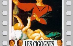 Les cigognes n’en font qu’à leur tête