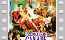 Promotion canapé